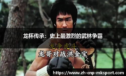 龙杯传承:史上最激烈的武林争霸
